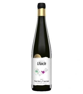 Pinot Noir "F" 2021 barrique